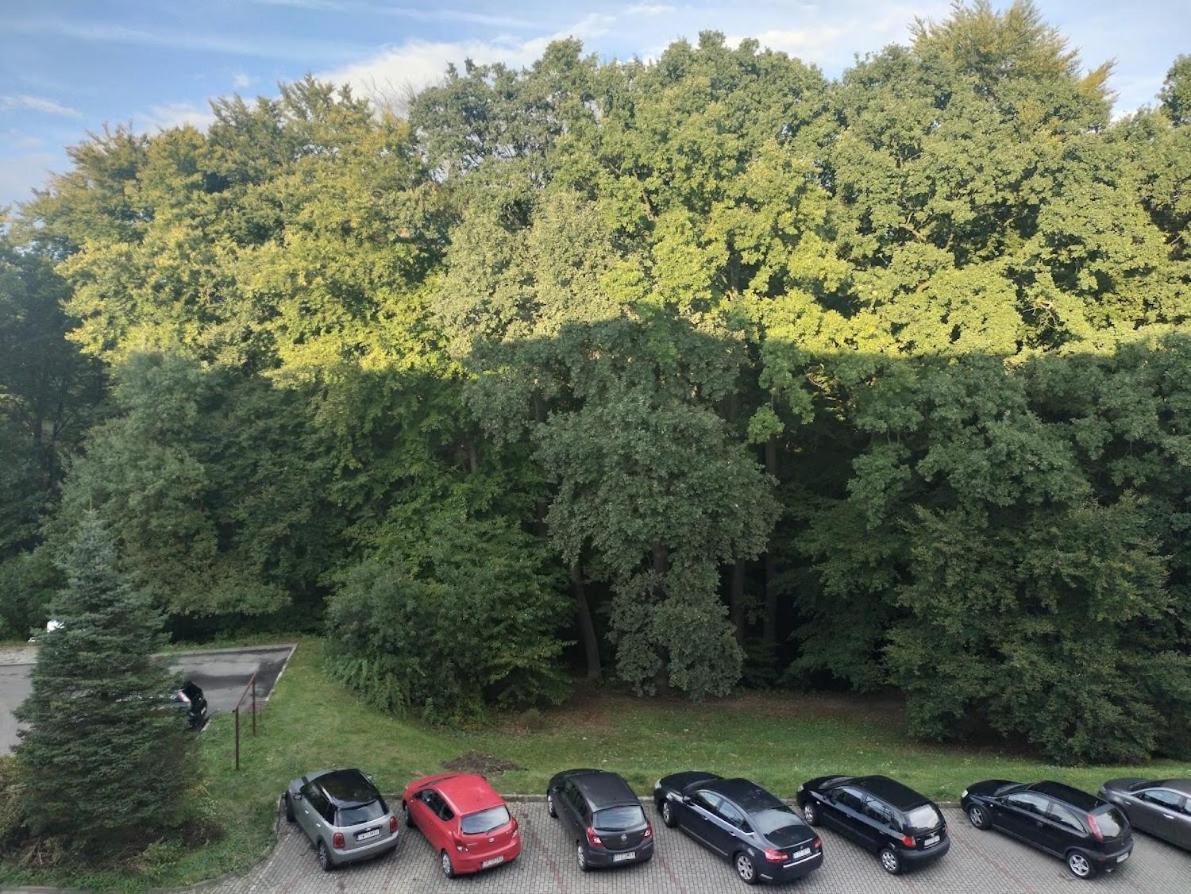 Nowoczesne Mieszkanie 63M2 Jastrzębie Zdrój 外观 照片